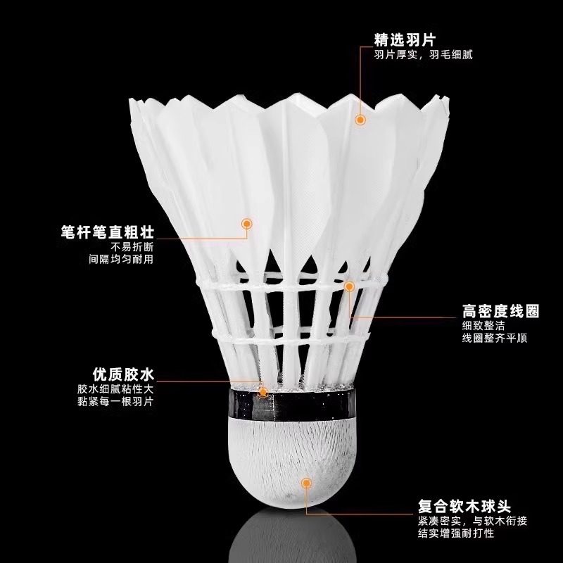 Lion Badminton Shuttlecock Goo - Feather Shuttlecock review and price